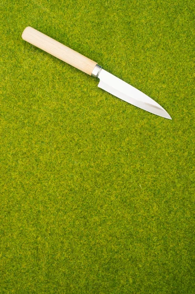Ein Küchenmesser Mit Einem Hölzernen Ende Auf Einer Grünen Rasenfläche — Stockfoto