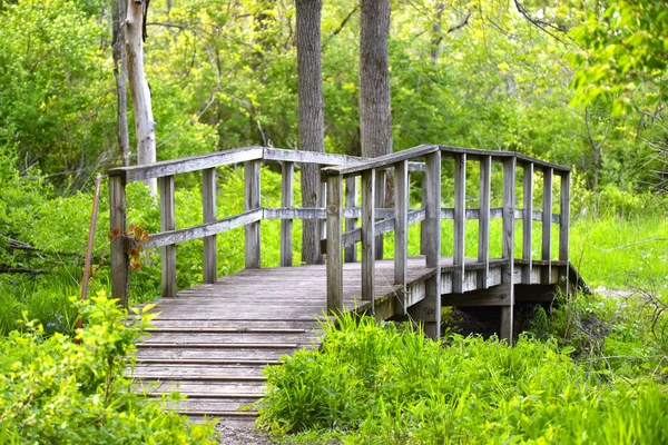 Pintoresco Paisaje Forestal Con Viejo Puente Madera Exuberantes Árboles — Foto de Stock