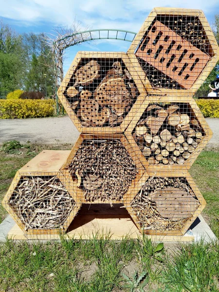 Pionowe Ujęcie Małych Drewnianych Domów Pszczół Kształcie Plastrów Miodu Drucianym — Zdjęcie stockowe