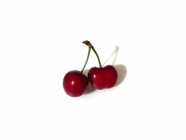 Closeup Shot Two Red Ripe Shiny Fresh Sweet Cherries Attached — Φωτογραφία Αρχείου