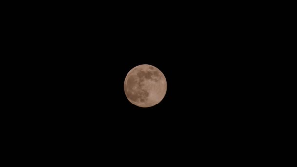 Une Belle Vue Sur Une Pleine Lune Dans Ciel Nocturne — Video