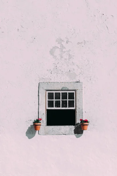 Vertical Shot Pink Building Window Decorated Red Flowers Flowerpots Obidos — Φωτογραφία Αρχείου