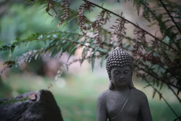 Eine Religiöse Buddha Statue Garten — Stockfoto