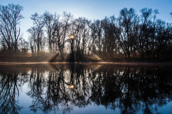 Lago Reflectante Rodeado Árboles Secos Bajo Cielo Azul —  Fotos de Stock