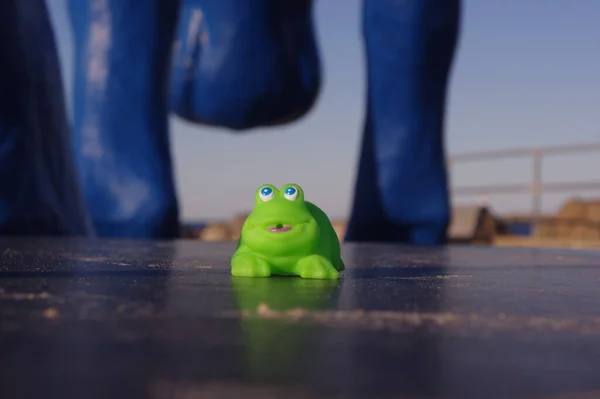 一个可爱的绿色青蛙玩具的特写镜头 它的蓝眼睛在地面上 — 图库照片