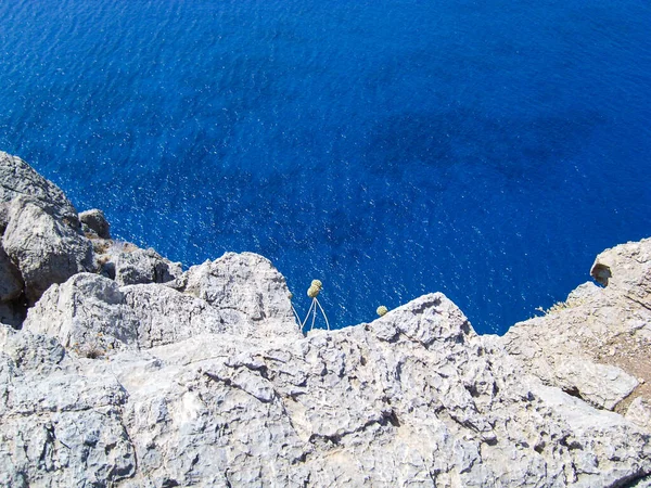 Výhled Oceán Útesu Kopírovacím Prostorem — Stock fotografie