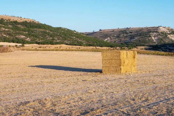 Ένα Μόνο Άχυρο Ρίχνει Μια Σκιά Ένα Ηλιόλουστο Πεδίο Δίπλα — Φωτογραφία Αρχείου