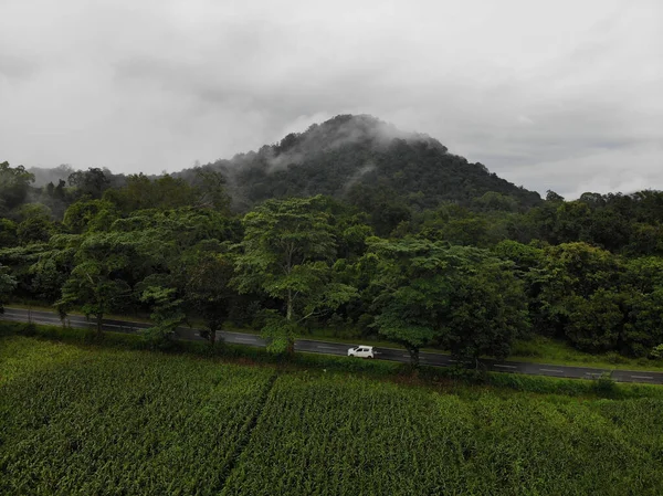 Vue Aérienne Une Montagne Couverte Une Végétation Dense Vue Travers — Photo