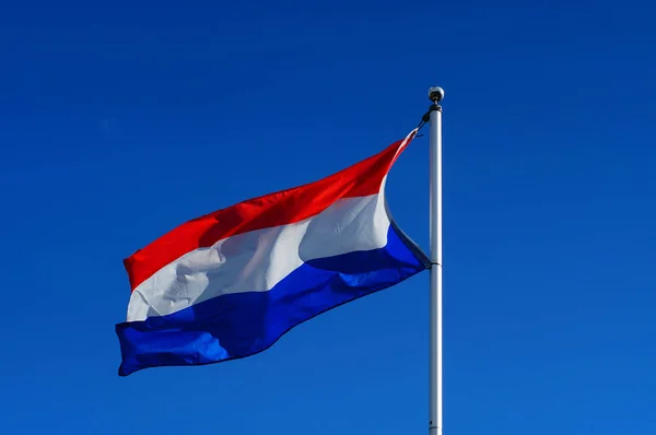 Dutch Flag Waves Wind Allotment Garden Frankfurt Germany — Stock Photo, Image