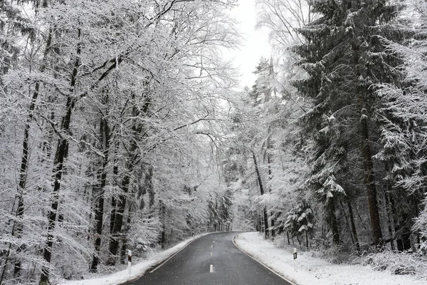 在雪地的路上拍到一张美丽的照片 — 图库照片