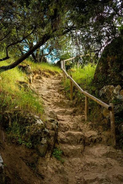一道带有木制栅栏的垂直楼梯通向秋天的公园 — 图库照片
