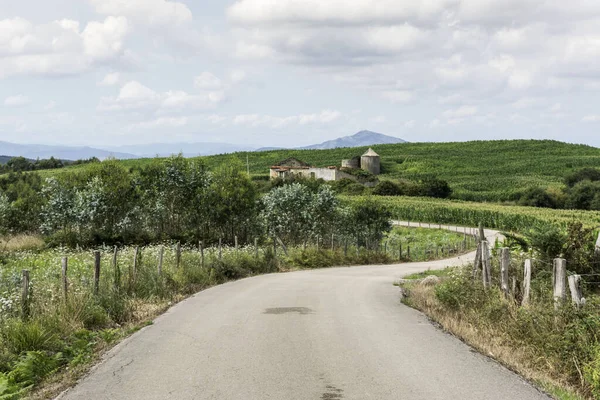 Uma Estrada Rural Norte Espanha — Fotografia de Stock