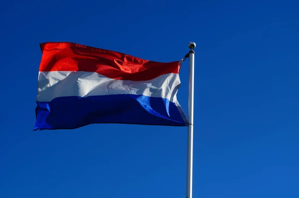 Una Bandera Holandesa Ondea Viento Huerto Frankfurt Alemania —  Fotos de Stock