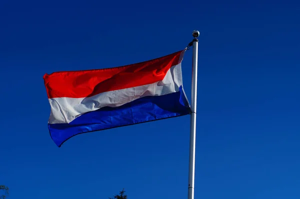 Una Bandera Holandesa Ondea Viento Huerto Frankfurt Alemania —  Fotos de Stock