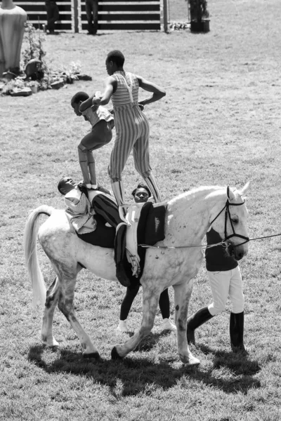 南アフリカ共和国ヨハネスブルグ 2021年1月6日 南アフリカ共和国ヨハネスブルグ 2011年10月8日 乗馬ショーのジャンプと乗馬ディスプレイ — ストック写真