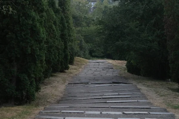 公園を通って階段のある長い道 — ストック写真