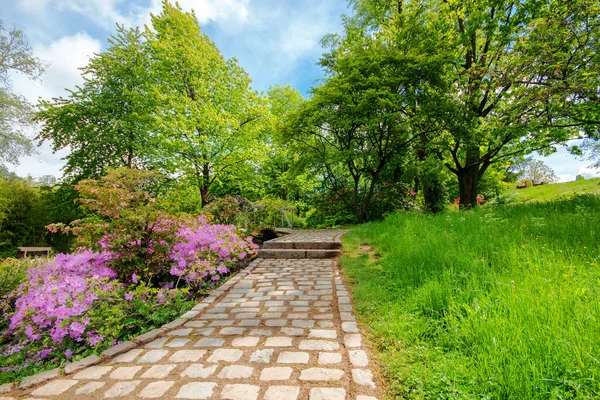 Una Passerella Giardino Coperto Fiori Verde Sotto Luce Del Sole — Foto Stock