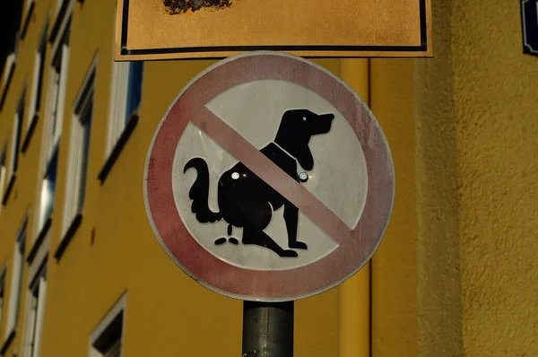 Weathered Sign Dog Toilet Here Residential Complex Beautiful Yellow — Stock Photo, Image