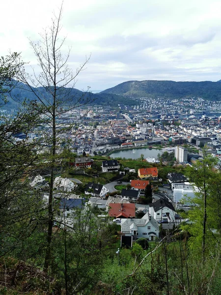Вертикальный Снимок Города Берген Горы Флойен Норвегия — стоковое фото