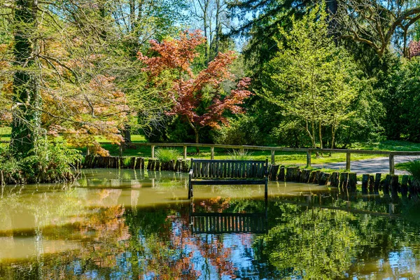 Όμορφο Πάρκο Μια Ηλιόλουστη Μέρα Την Άνοιξη Στο Arboretum Volcji — Φωτογραφία Αρχείου