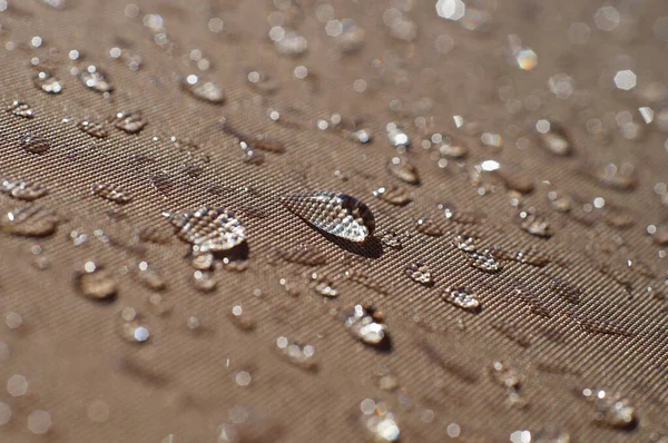 Macro Shot Raindrops Parasol Shower — Stock Photo, Image