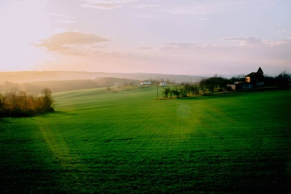 Ein Schöner Blick Auf Die Grüne Wiese Einem Sonnigen Tag — Stockfoto