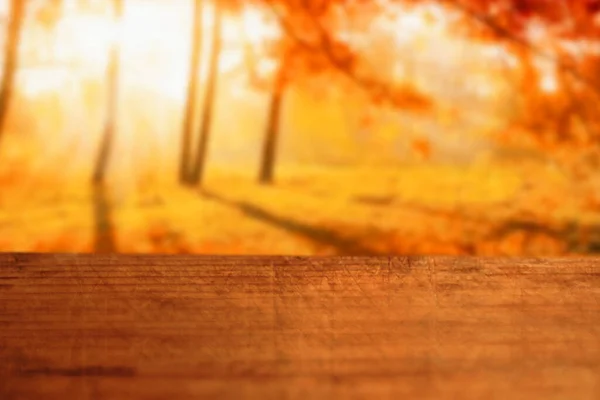 Closeup Wooden Surface Copyspace Trees Sunlight Background Autumn — Zdjęcie stockowe
