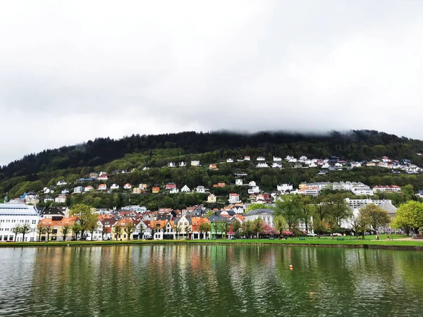 Une Belle Vue Sur Les Bâtiments Entourés Plantes Fleurs Bergen — Photo
