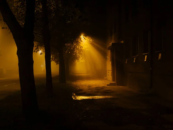 爱沙尼亚塔尔图黄金雾之夜的一条空旷街道 — 图库照片