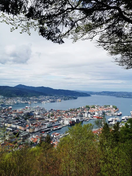 Plano Vertical Ciudad Bergen Desde Montaña Floyen Noruega —  Fotos de Stock