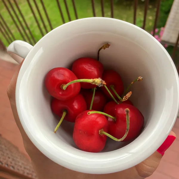 Gros Plan Cerises Douces Dans Une Tasse Blanche — Photo