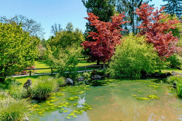 Belo Parque Dia Ensolarado Primavera Arboretum Volcji Potok Perto Radomlje — Fotografia de Stock