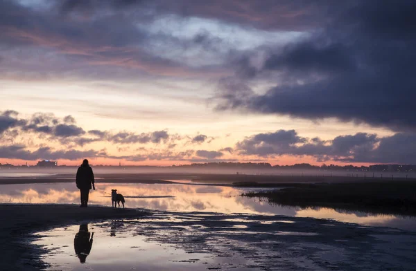 Silhouette Man Dog Lake Sunset Cloudy Pink Sky Estonia — Φωτογραφία Αρχείου
