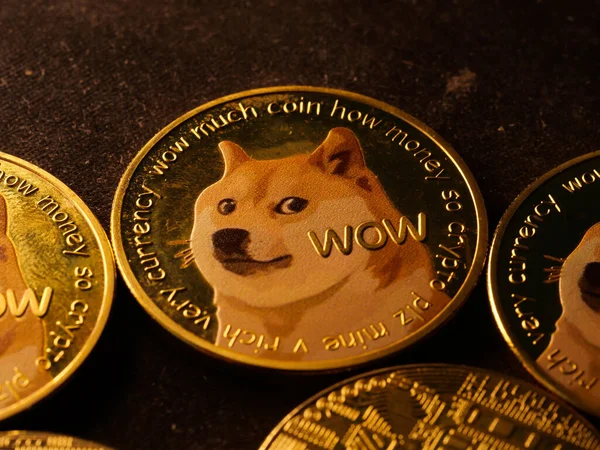 Селективный Фокус Монете Собачьим Мемом Шиба Ину Имени Дож Гравировкой — стоковое фото