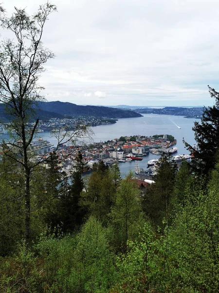 Norveç Floyen Dağından Bergen Şehrinin Dikey Görüntüsü — Stok fotoğraf