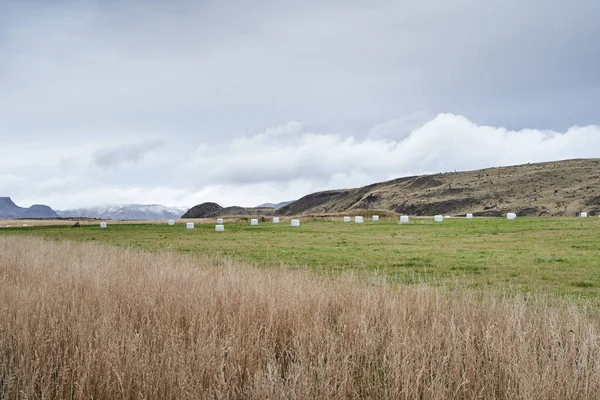 Живописный Вид Тюков Ферме Подготовленной Зиме Облачном Фоне Неба — стоковое фото