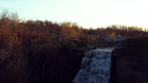 Beautiful View River Forest — Stock Video