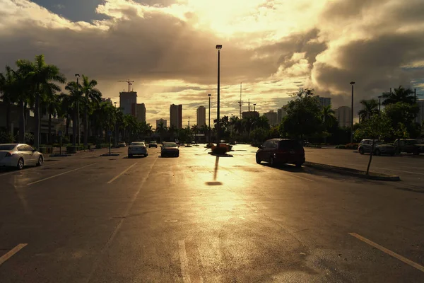 Parking Lot Palm Trees Golden Sun Shining Clouds Sky — Stock Photo, Image