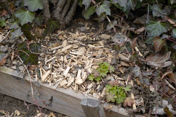 Stos Odpadów Drewnianych Pozostawionych Ziemi — Zdjęcie stockowe