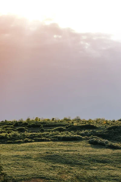 Een Prachtig Uitzicht Een Landschap Met Groen Onder Zonsondergang Hemel — Stockfoto