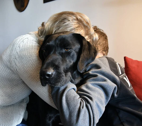 Cute black labrador dog hugged by two people back in a couch. A woman and a child.