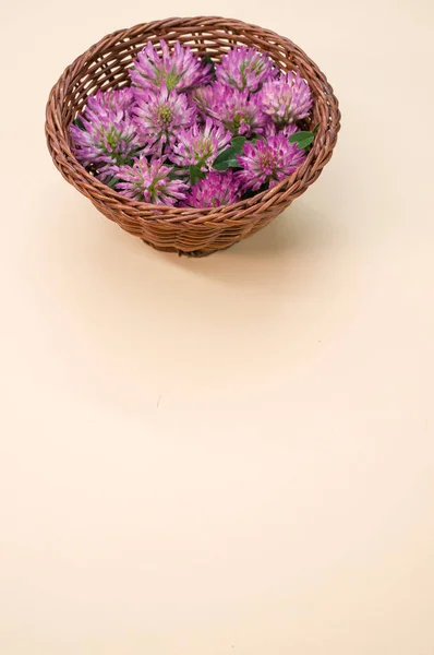 Vertical Shot Red Clovers Basket Beige Surface Space Text — Stock Photo, Image