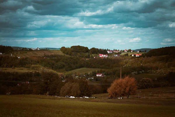 Eine Nahaufnahme Von Grünen Hügeln Mit Kleinen Häusern Der Ferne — Stockfoto