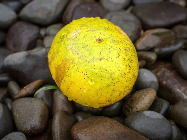 Vista Perto Toranja Caída Chão — Fotografia de Stock