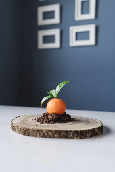 Vertikální Záběr Těsta Tvaru Mandarinky Čokoládových Sušenkách Drolí Dřevěné Desce — Stock fotografie