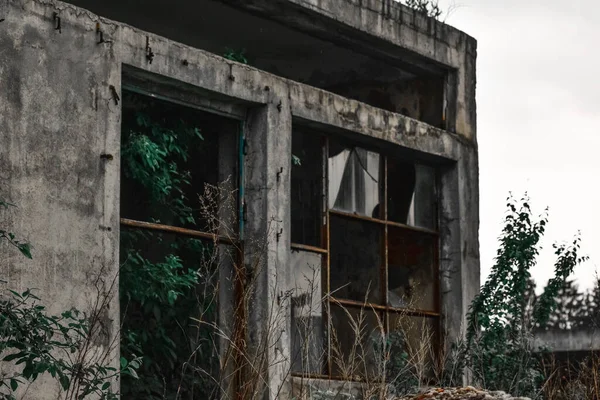 Old Abandoned Building Broken Glass Windows Greenery — 图库照片