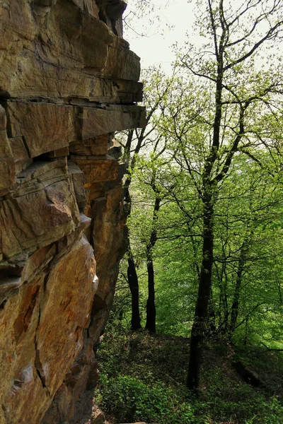 Disparo Vertical Rocas Dentadas Sobresaliendo Alto Acantilado Bosque Verde Con — Foto de Stock