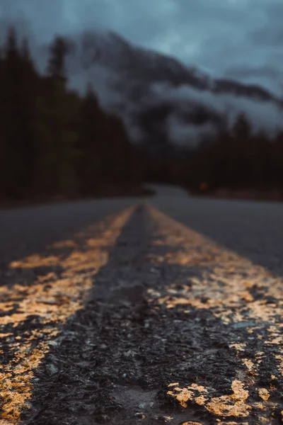 Plan Vertical Une Route Vide Travers Les Bois Sous Ciel — Photo