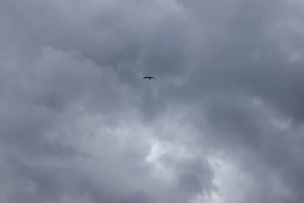 Uma Bela Vista Nuvens Chuva Grossas Escuras Céu — Fotografia de Stock