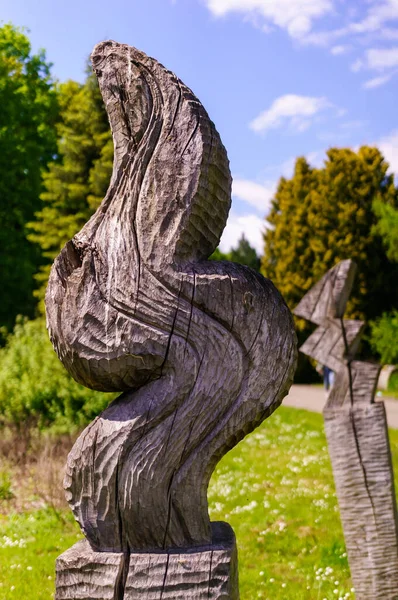 Poznan Poland May 2021 Wooden Decoration Botanic Park Spring — Stock Photo, Image